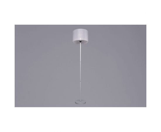 Торшер РОССВЕТ 1х60ВтхE27 РС20794 WT+CR/1F 