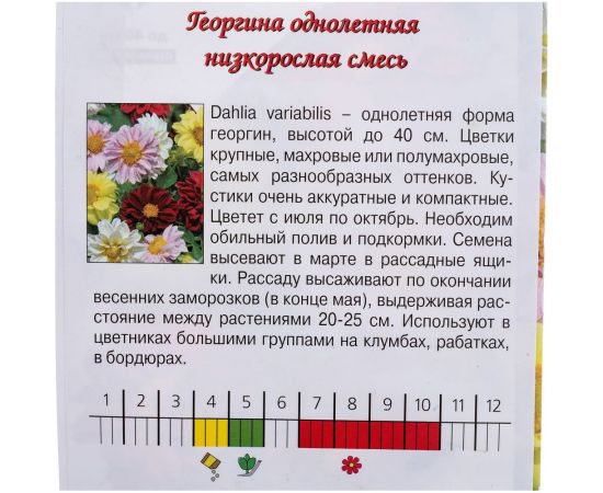 Семена Агрони Георгина низкорослая СМЕСЬ 7897 – изображение 2