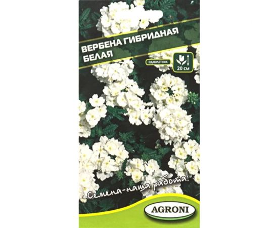 Семена Агрони Вербена гибридная БЕЛАЯ 5893 – изображение 2