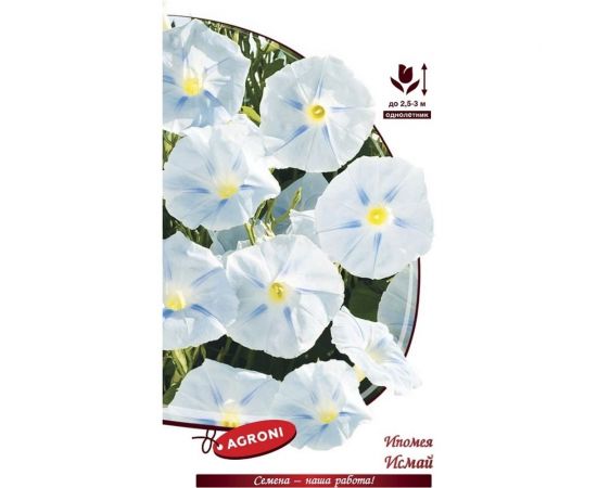 Семена Агрони Ипомея ИСМАЙ 5589 – изображение 2