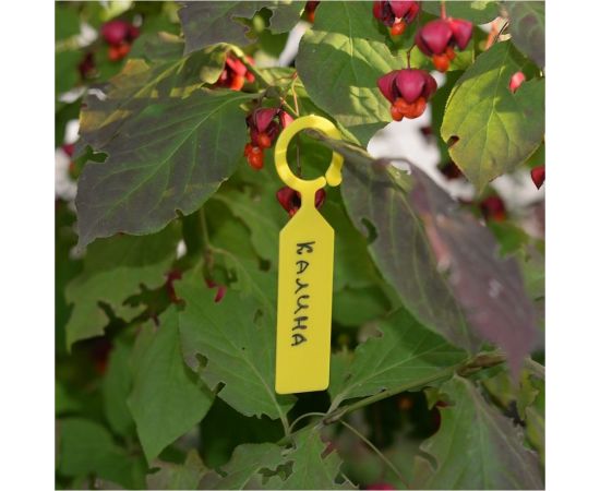 Набор садовых подвесных табличек МУЛЬТИДОМ 25 шт. VL83-31 – изображение 2