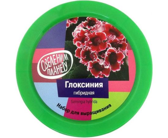 Набор для выращивания растений Вырасти,Дерево! Глоксиния гибридная zk-067 – изображение 2