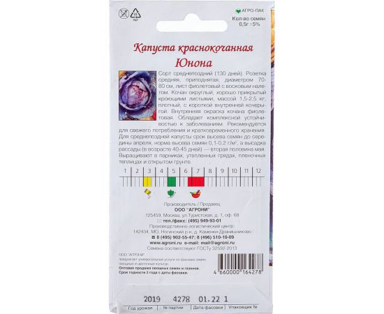 Семена Агрони Капуста краснокочанная ЮНОНА 4278 – изображение 2