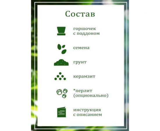 Подарочный набор для выращивания растений Вырасти,Дерево! Глоксиния гибридная zk-112 – изображение 3