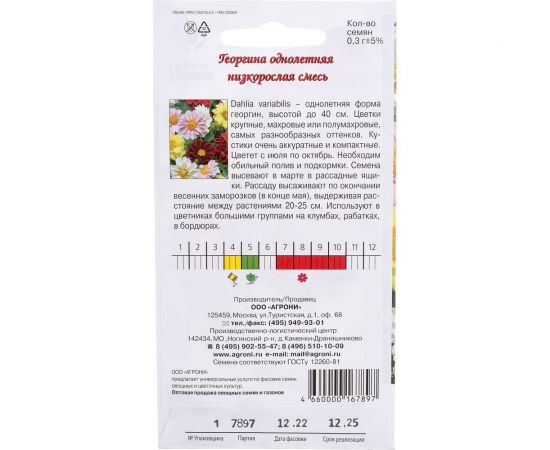 Семена Агрони Георгина низкорослая СМЕСЬ 7897 – изображение 3