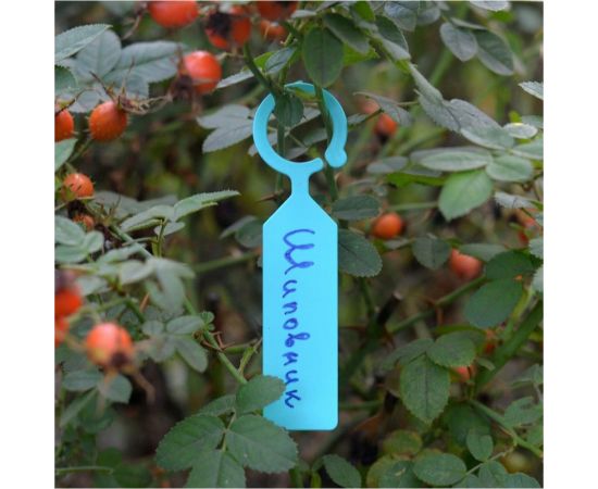 Набор садовых подвесных табличек МУЛЬТИДОМ 25 шт. VL83-31 – изображение 3