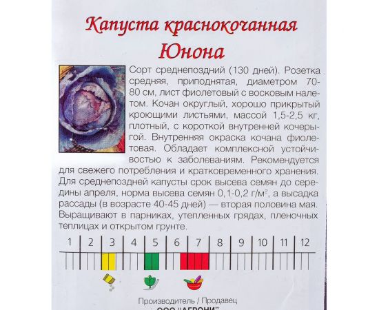 Семена Агрони Капуста краснокочанная ЮНОНА 4278 – изображение 3