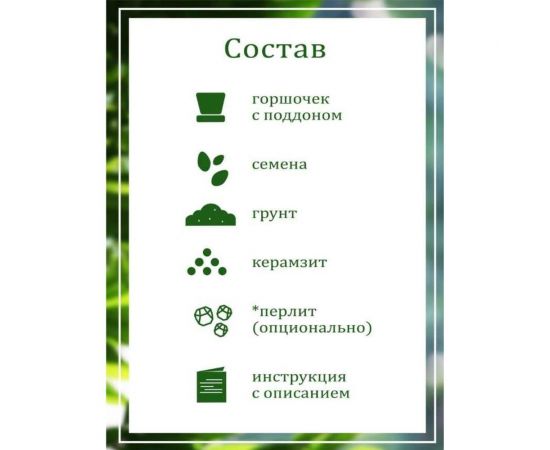 Подарочный набор для выращивания растений Вырасти,Дерево! Гардения жасминовидная zk-111 – изображение 3