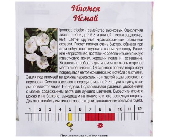 Семена Агрони Ипомея ИСМАЙ 5589 – изображение 3