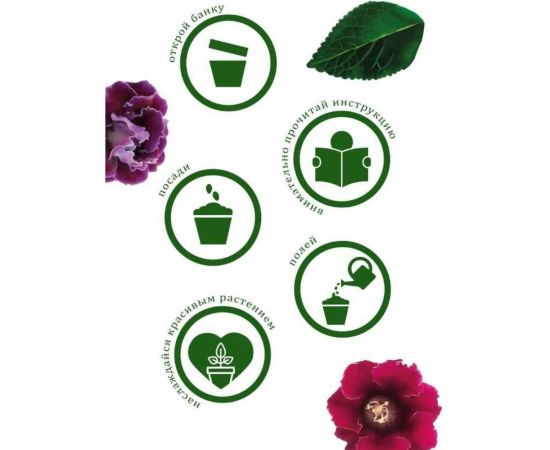 Подарочный набор для выращивания растений Вырасти,Дерево! Глоксиния гибридная zk-112 – изображение 4