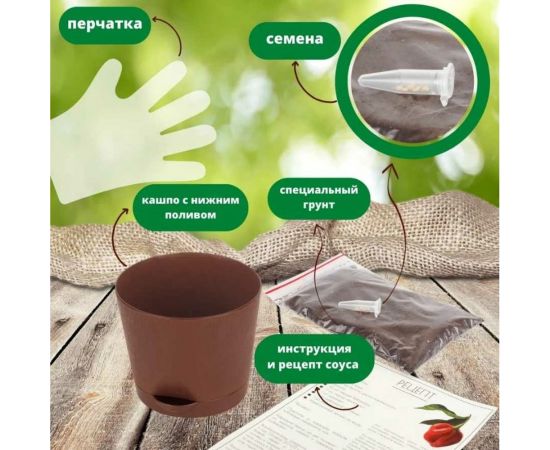 Набор для выращивания растений Plant Republic Перец острый Тринидад 7 Пот Джона pr-006 – изображение 4