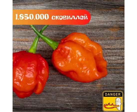 Набор для выращивания растений Plant Republic Перец острый Тринидад 7 Пот Джона pr-006 – изображение 6