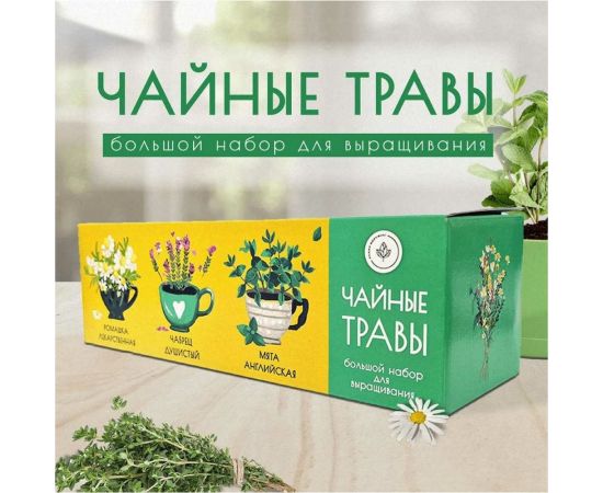 Набор для выращивания растений Plant Republic Чайные травы pr-021 