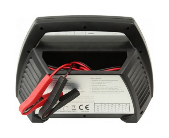 Зарядное устройство ANSMANN 1001-0014 ALCT 6-24/10 11588 