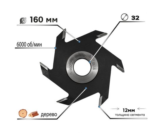 Фреза пазовая (дисковая) 160х12х32 мм для станков S.E.B. 308FZ-P1601232 – изображение 2