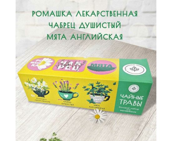 Набор для выращивания растений Plant Republic Чайные травы pr-021 – изображение 3