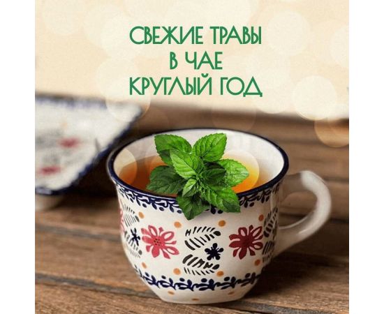 Набор для выращивания растений Plant Republic Чайные травы pr-021 – изображение 6