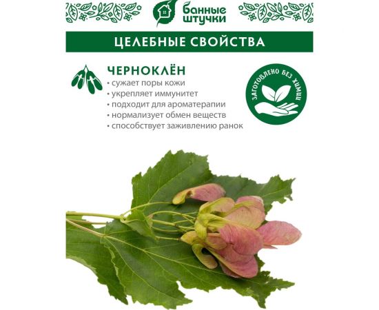 Дубовый веник Банные штучки с черноклёном 32112 – изображение 6