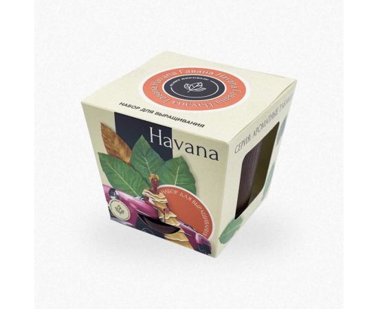 Набор для выращивания растений Plant Republic Табак Гавана pr-010 – изображение 2