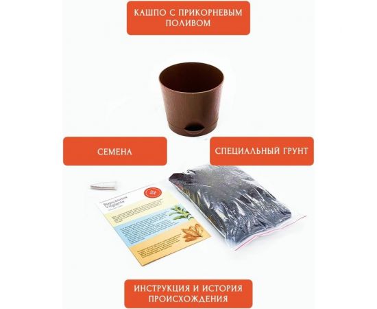 Набор для выращивания растений Plant Republic Табак Гавана pr-010 – изображение 4