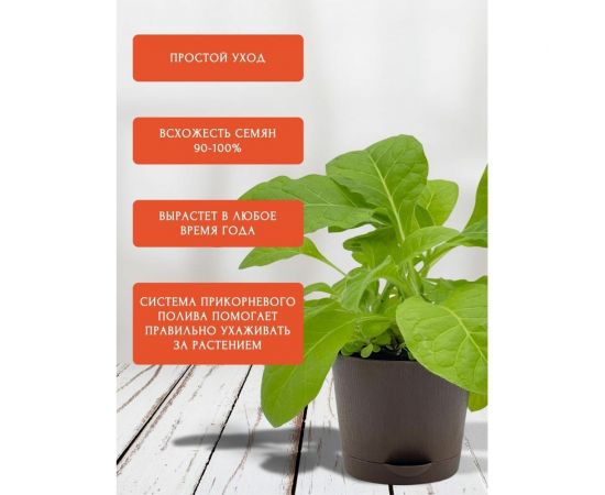 Набор для выращивания растений Plant Republic Табак Гавана pr-010 – изображение 5