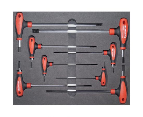 Набор Т-образных ключей с шаром с рукояткой 2.5-10мм 8 предметов IZELTAS 4921008108 – изображение 2