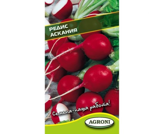 Семена Агрони Редис АСКАНИЯ 1703 
