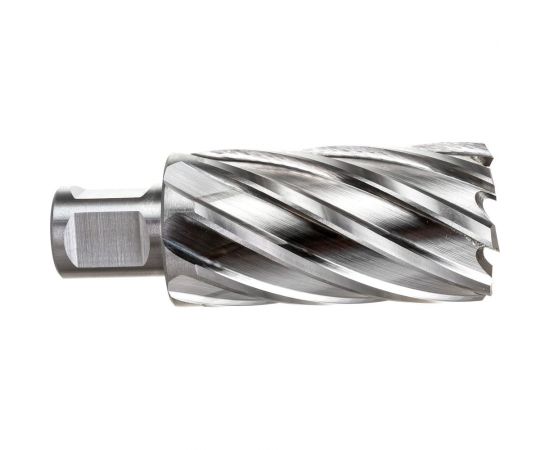 Фреза кольцевая HSS (32x55 мм; Weldon 19) ROTORICA RT.4215032 