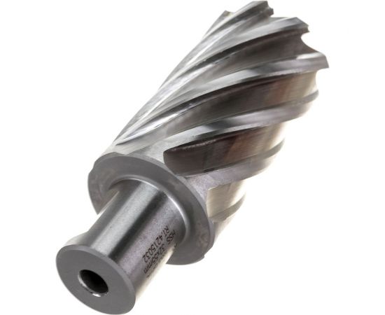 Фреза кольцевая HSS (32x55 мм; Weldon 19) ROTORICA RT.4215032 – изображение 4