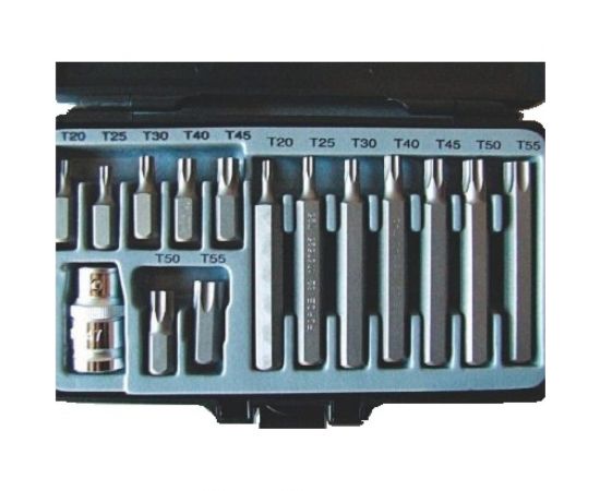 Набор бит (15 предметов; торкс Т 20-55) СЕРВИС КЛЮЧ 76445 