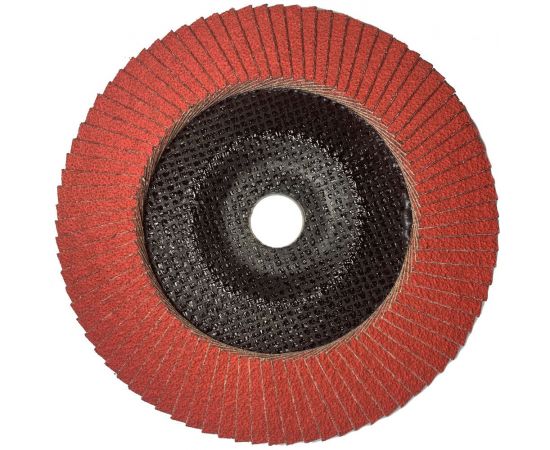 Круг лепестковый STANDART (180x22.23 мм; SA 40; F29) SKORPIO 362377 – изображение 2