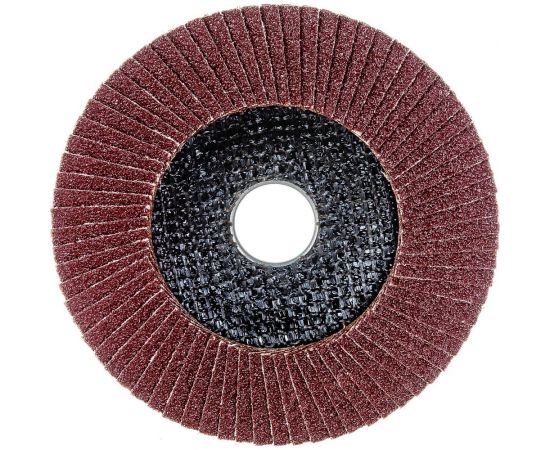 Круг лепестковый торцевой (125х22.2 мм; Р60) Pobedit 2050206 – изображение 2