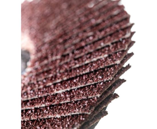 Круг лепестковый торцевой (125х22.2 мм; Р60) Pobedit 2050206 – изображение 3