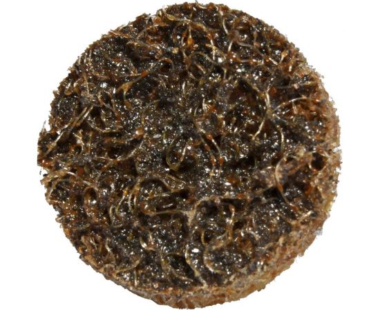 Шлифовальный круг DIABLO R-TYPE SCB COARSE 50 мм ABRAFORM RTYPE-SCB-COARSE-50 