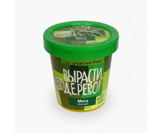 Набор для выращивания растений Вырасти,Дерево! Мята яблочная zk-093 