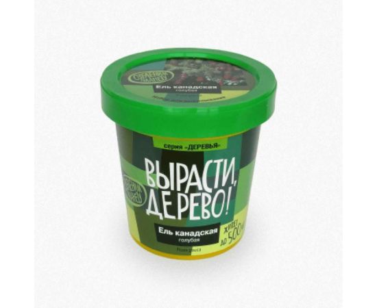Набор для выращивания растений Вырасти,Дерево! Ель канадская голубая zk-048 