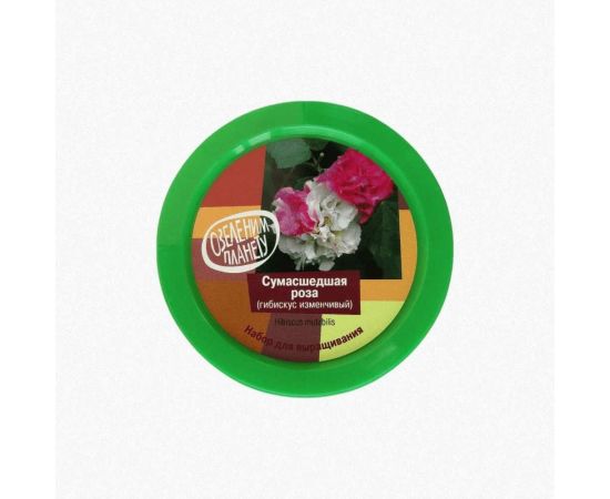 Набор для выращивания растений Вырасти,Дерево! Сумасшедшая роза zk-047 – изображение 2