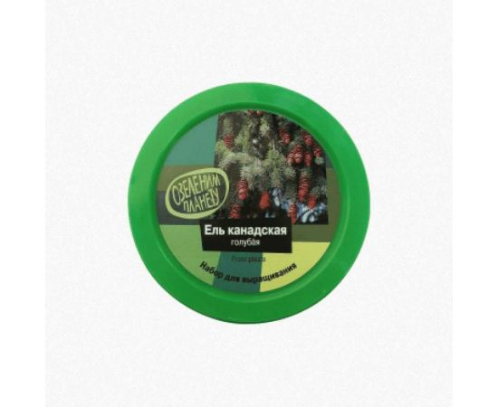 Набор для выращивания растений Вырасти,Дерево! Ель канадская голубая zk-048 – изображение 2