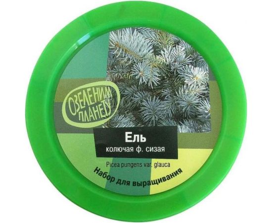 Набор для выращивания растений Вырасти,Дерево! Ель колючая сизая zk-004 – изображение 3