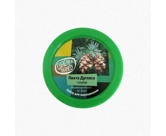 Набор для выращивания растений Вырасти,Дерево! Пихта Дугласа голубая zk-069 – изображение 3