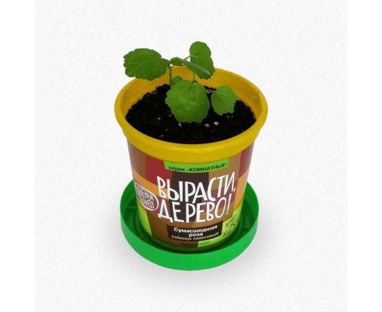 Набор для выращивания растений Вырасти,Дерево! Сумасшедшая роза zk-047 – изображение 3