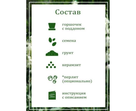 Набор для выращивания растений Вырасти,Дерево! Юкка zk-013 – изображение 5