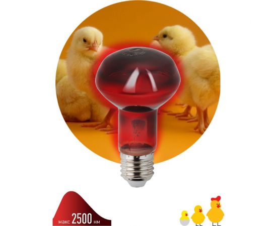 Инфракрасная лампа ЭРА ИКЗК 230-60 R63 Е27 для обогрева животных 60 Вт Е27, Б0057281 – изображение 5