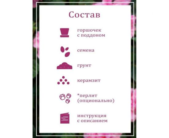 Набор для выращивания растений Вырасти,Дерево! Сумасшедшая роза zk-047 – изображение 5