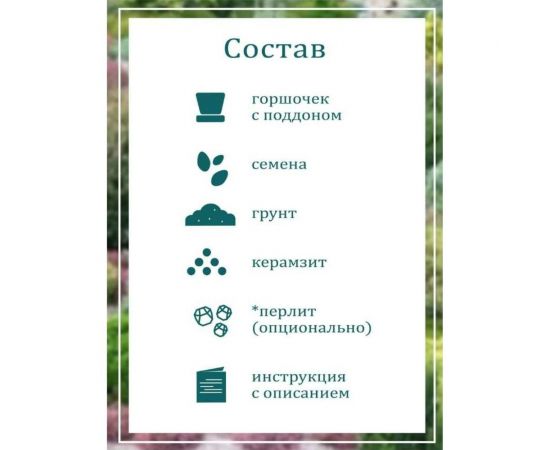 Набор для выращивания растений Вырасти,Дерево! Ель канадская голубая zk-048 – изображение 5