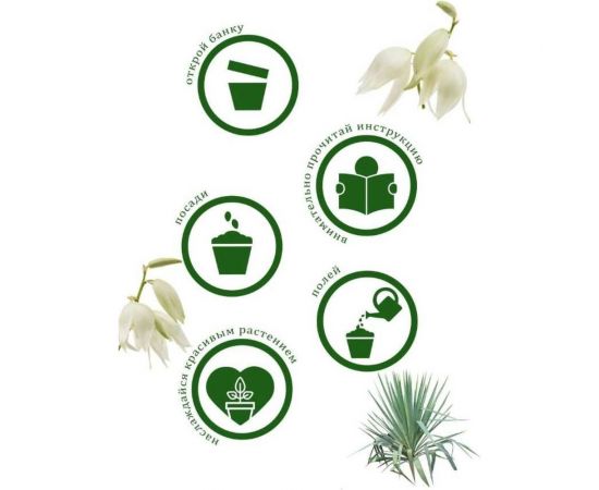 Набор для выращивания растений Вырасти,Дерево! Юкка zk-013 – изображение 6