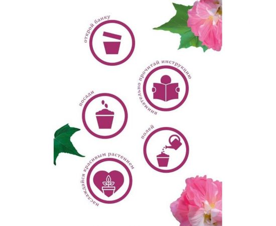 Набор для выращивания растений Вырасти,Дерево! Сумасшедшая роза zk-047 – изображение 6