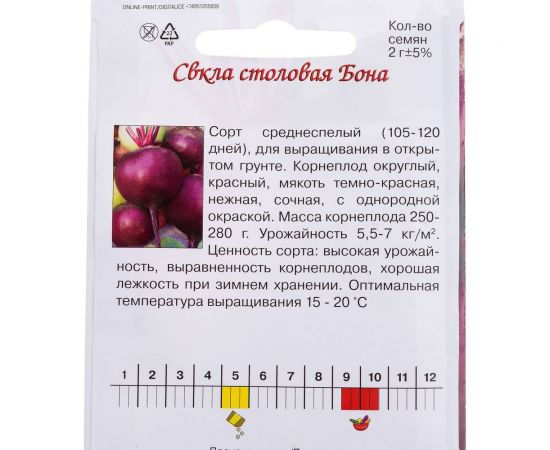 Семена Агрони Свекла столовая БОНА 7064 – изображение 2