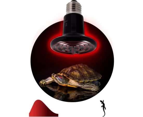 Инфракрасная лампа ЭРА FITO-50W-НQ керамическая, серии CeramiHeat ,модель RX для брудера, рептилий, 50 Вт, Е27 Б0052714 – изображение 3