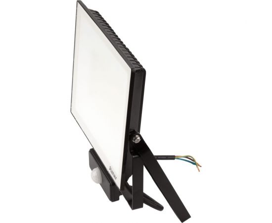 Светодиодный прожектор RITTER серия PROFI 230В 100 Вт 6500К 10000Лм IP65 черный с датчиком движения 53424 6 – изображение 6